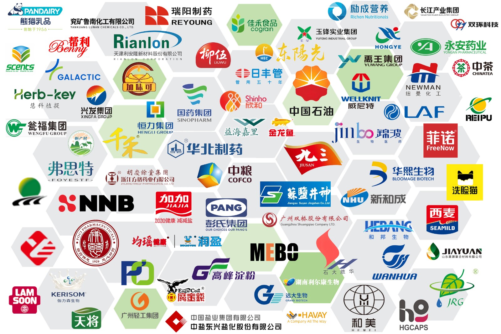 2026客户logo展示