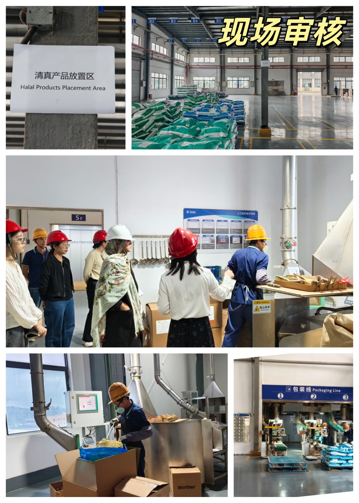 现场审核 现场审核