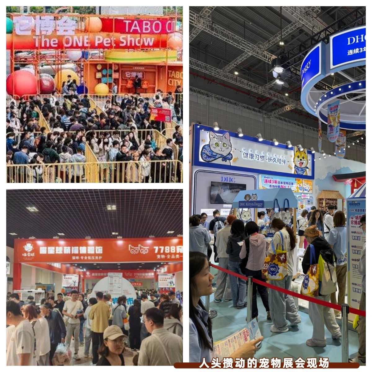 展会现场