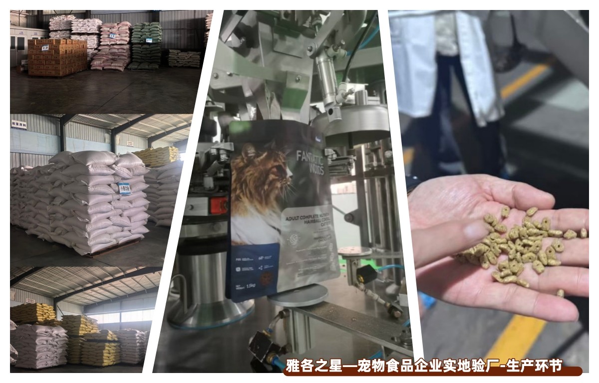 生产环节 生产环节